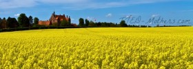 http://www.dreamstime.com/royalty-free-stock-photo-castle-surrounded-canola-fields-image19624505