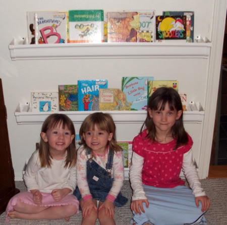 Galley Book Shelves Made of Rain Gutters