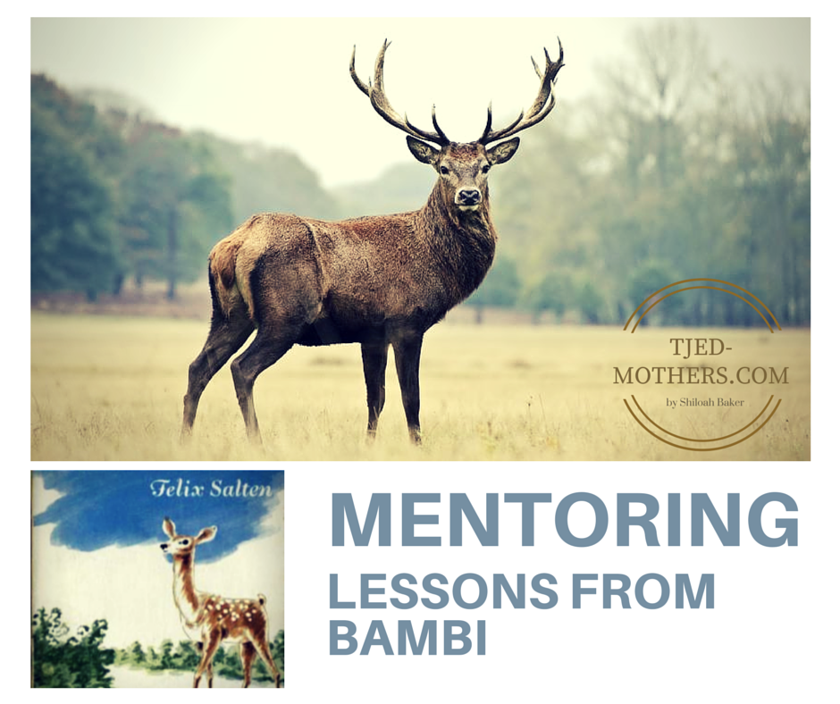 mentoring lessons from bambi