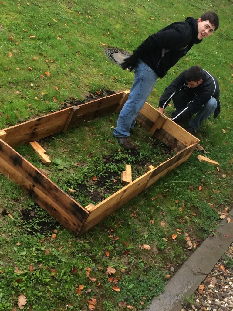 building raised garden bed