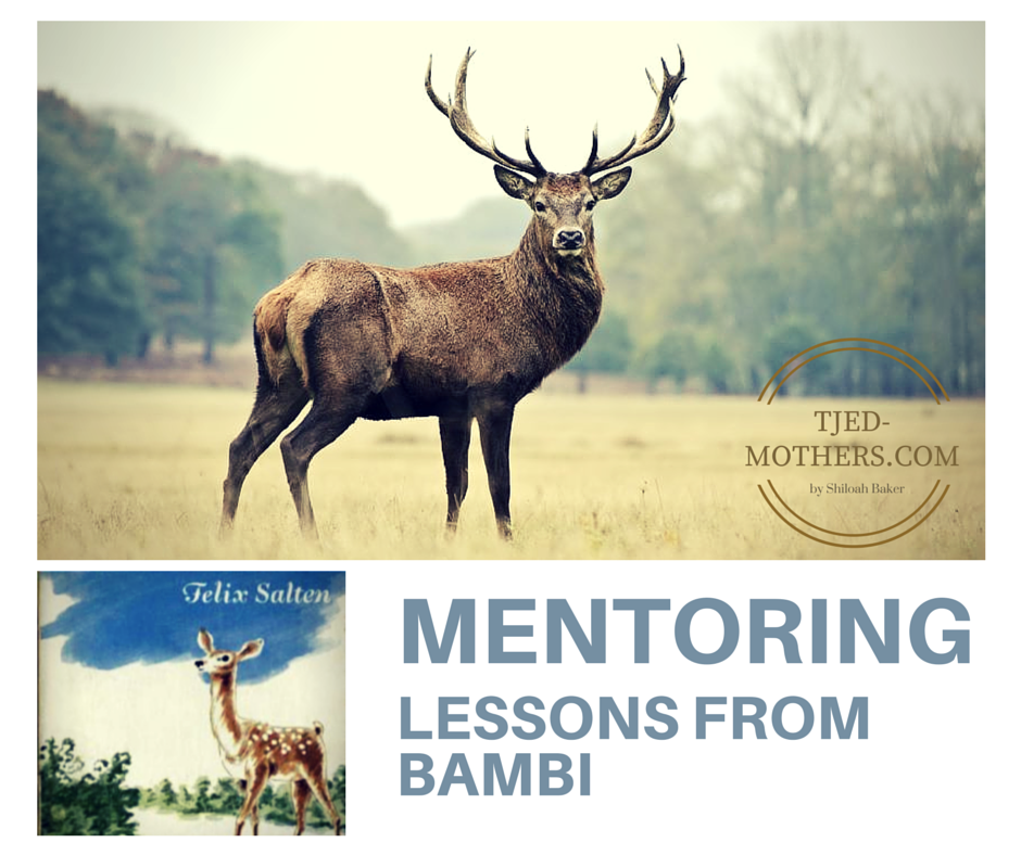 Mentoring Lessons from Bambi
